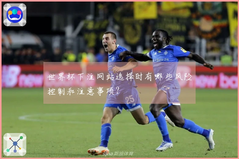 世界杯下注网站选择时有哪些风险控制和注意事项？
