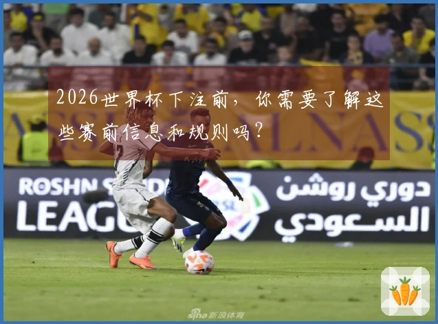 2026世界杯下注前，你需要了解这些赛前信息和规则吗？
