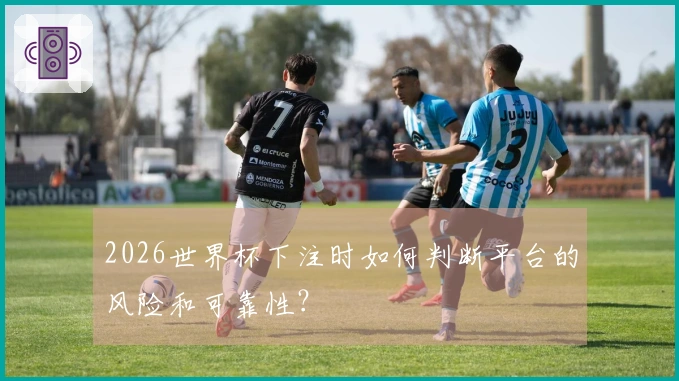 2026世界杯下注时如何判断平台的风险和可靠性？