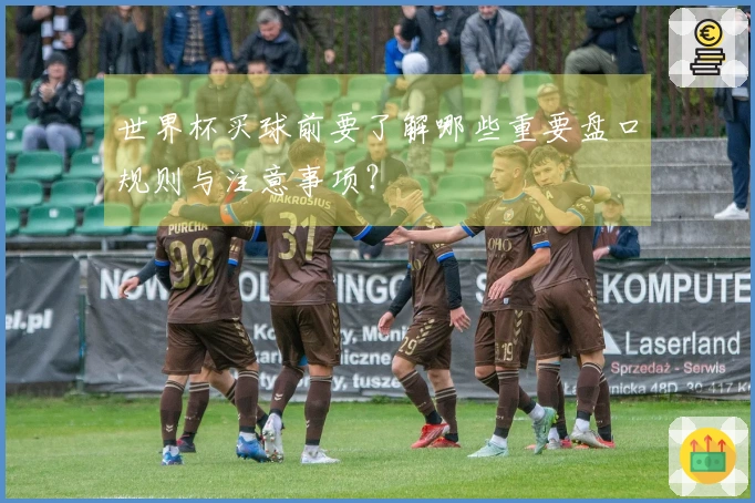 世界杯买球前要了解哪些重要盘口规则与注意事项?