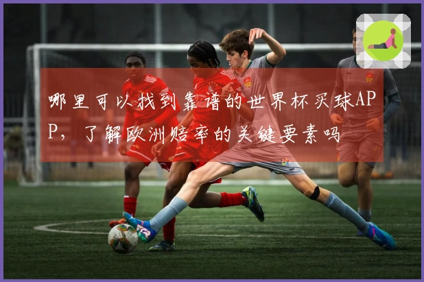 哪里可以找到靠谱的世界杯买球APP,了解欧洲赔率的关键要素吗