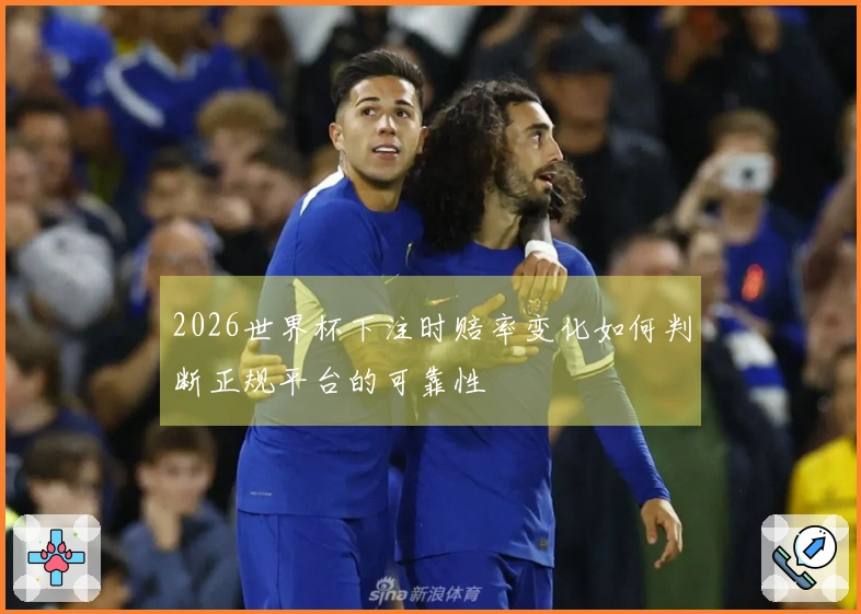 2026世界杯下注时赔率变化如何判断正规平台的可靠性