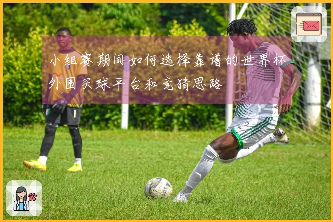 小组赛期间如何选择靠谱的世界杯外围买球平台和竞猜思路