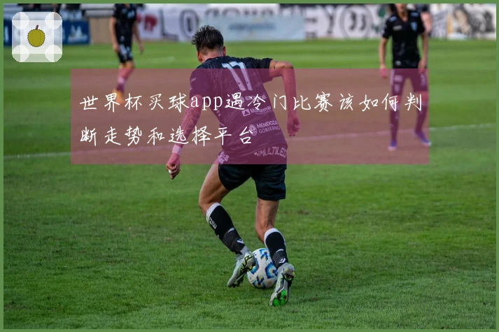 世界杯买球app遇冷门比赛该如何判断走势和选择平台