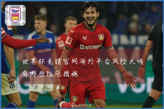 世界杯竞猜官网海外平台风险大吗有哪些防范措施