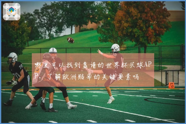 哪里可以找到靠谱的世界杯买球APP，了解欧洲赔率的关键要素吗