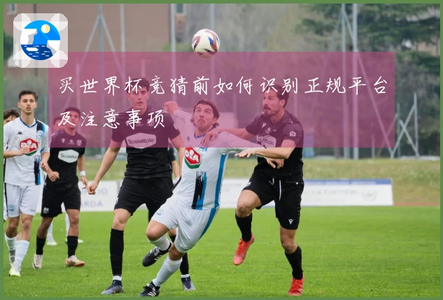 买世界杯竞猜前如何识别正规平台及注意事项