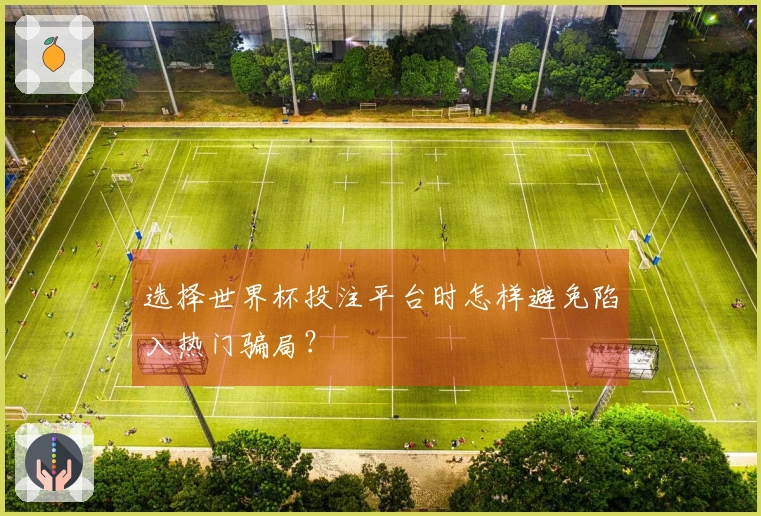选择世界杯投注平台时怎样避免陷入热门骗局？