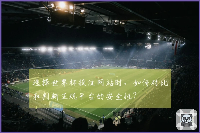 选择世界杯投注网站时,如何对比和判断正规平台的安全性?