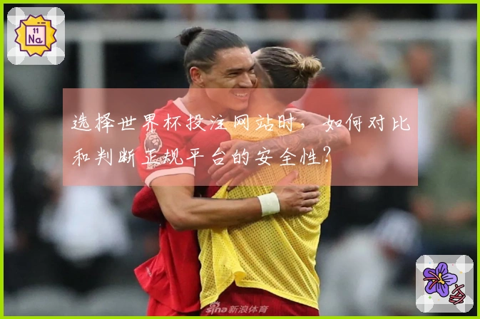 选择世界杯投注网站时，如何对比和判断正规平台的安全性？