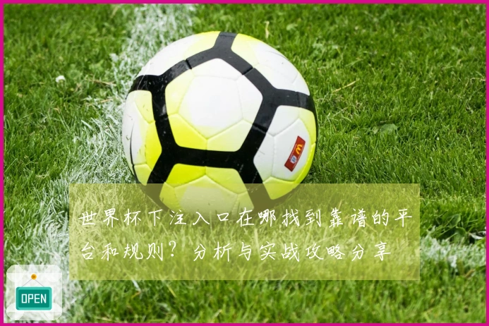 世界杯下注入口在哪找到靠谱的平台和规则？分析与实战攻略分享