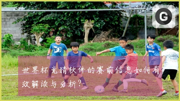 世界杯竞猜软件的赛前信息如何有效解读与分析？