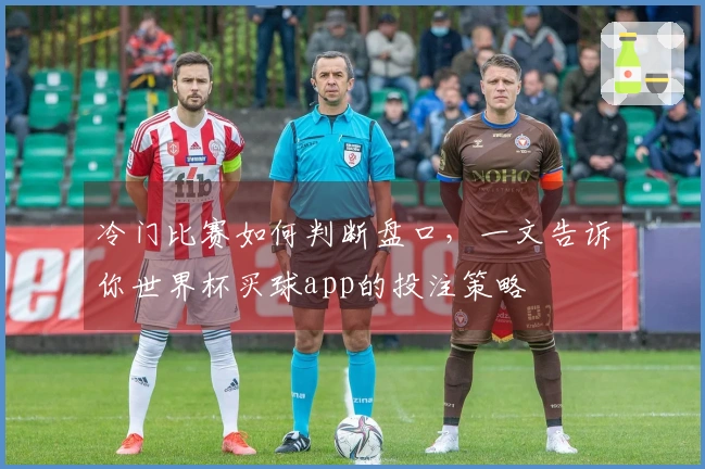 冷门比赛如何判断盘口,一文告诉你世界杯买球app的投注策略