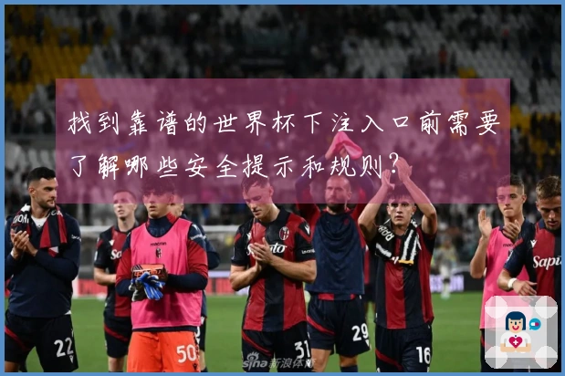 找到靠谱的世界杯下注入口前需要了解哪些安全提示和规则？