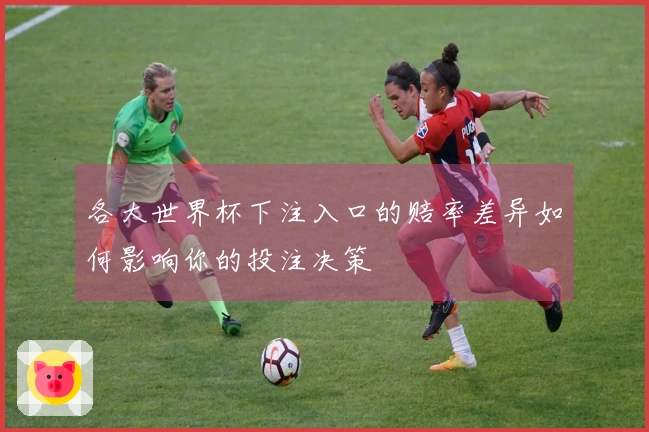 各大世界杯下注入口的赔率差异如何影响你的投注决策