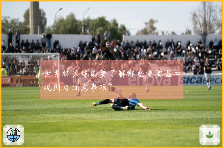 世界杯买球前要了解哪些重要盘口规则与注意事项？