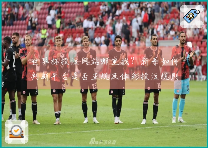世界杯投注网站哪里找？新手如何判断平台是否正规及体彩投注规则解析