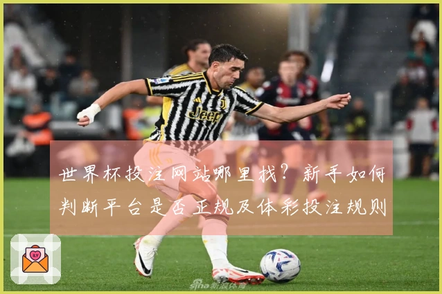世界杯投注网站哪里找?新手如何判断平台是否正规及体彩投注规则解析