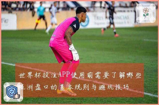 世界杯投注APP使用前需要了解哪些亚洲盘口的基本规则与避坑技巧